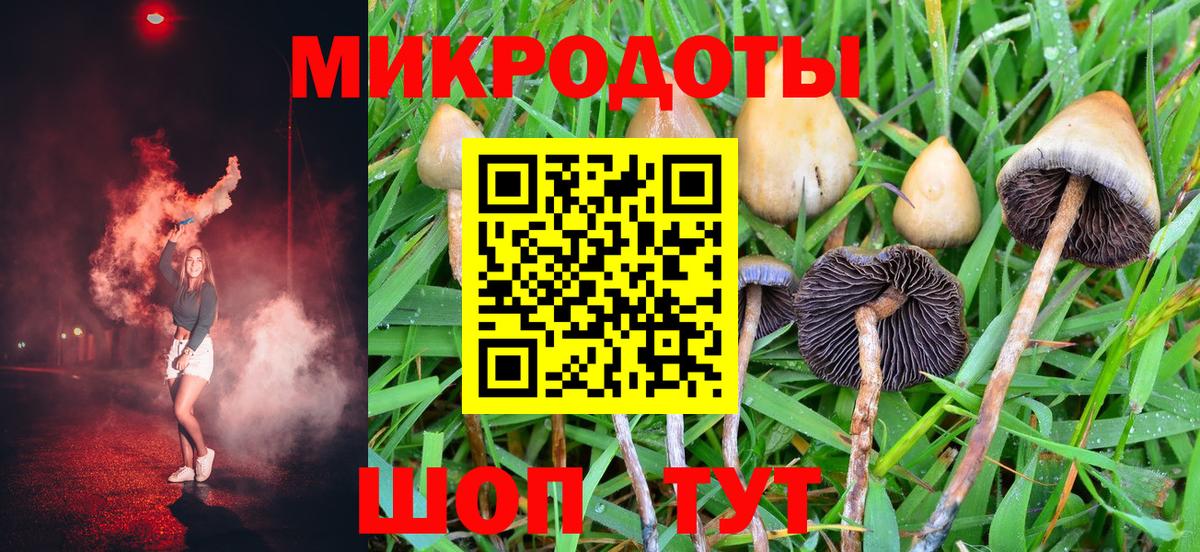 Псилоцибиновые грибы мухоморы Сатка